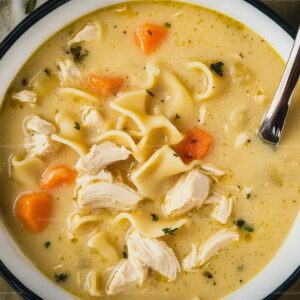Creamy Chicken Noodle Soup Recipe