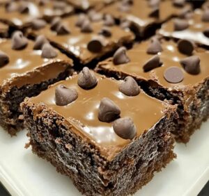 Fudgy Chocolate Chip Brownie Squares Recipe