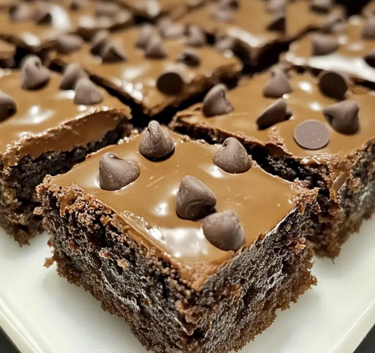 Fudgy Chocolate Chip Brownie Squares Recipe