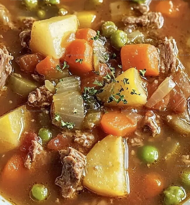 Step-by-Step for Making Vegetable Beef Soup at Home