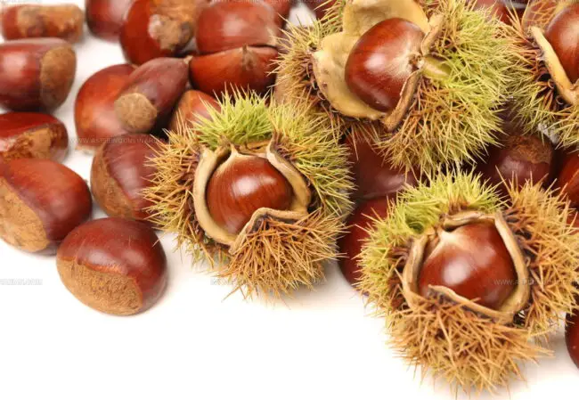 What Role Do European Nuts Play in Traditional European Baking?