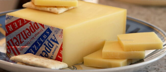 Appenzeller