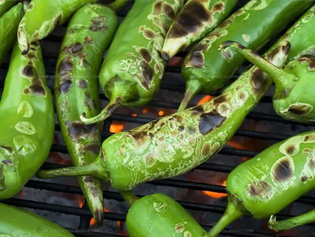 Anaheim Chili Overview: Flavor, Heat, and Uses