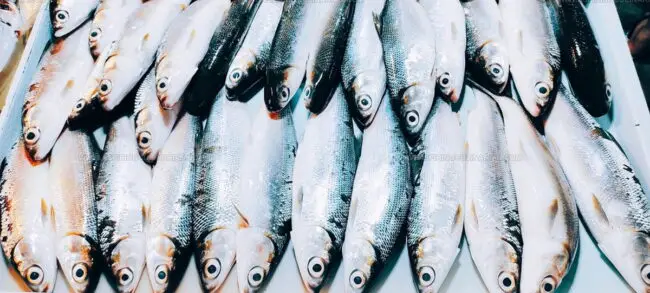 How Is Saltwater Fish Typically Cooked in Polynesian and Melanesian Cuisine?