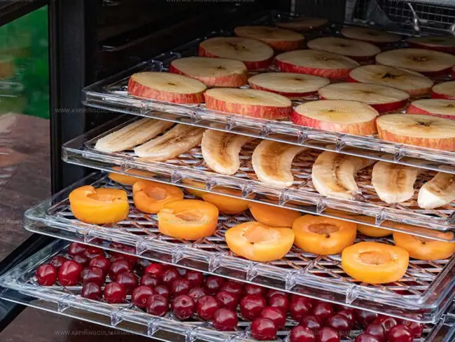 Dehydrator: Essential Guide