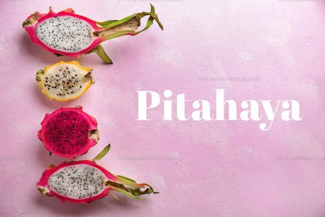 Dragon Fruit Varieties